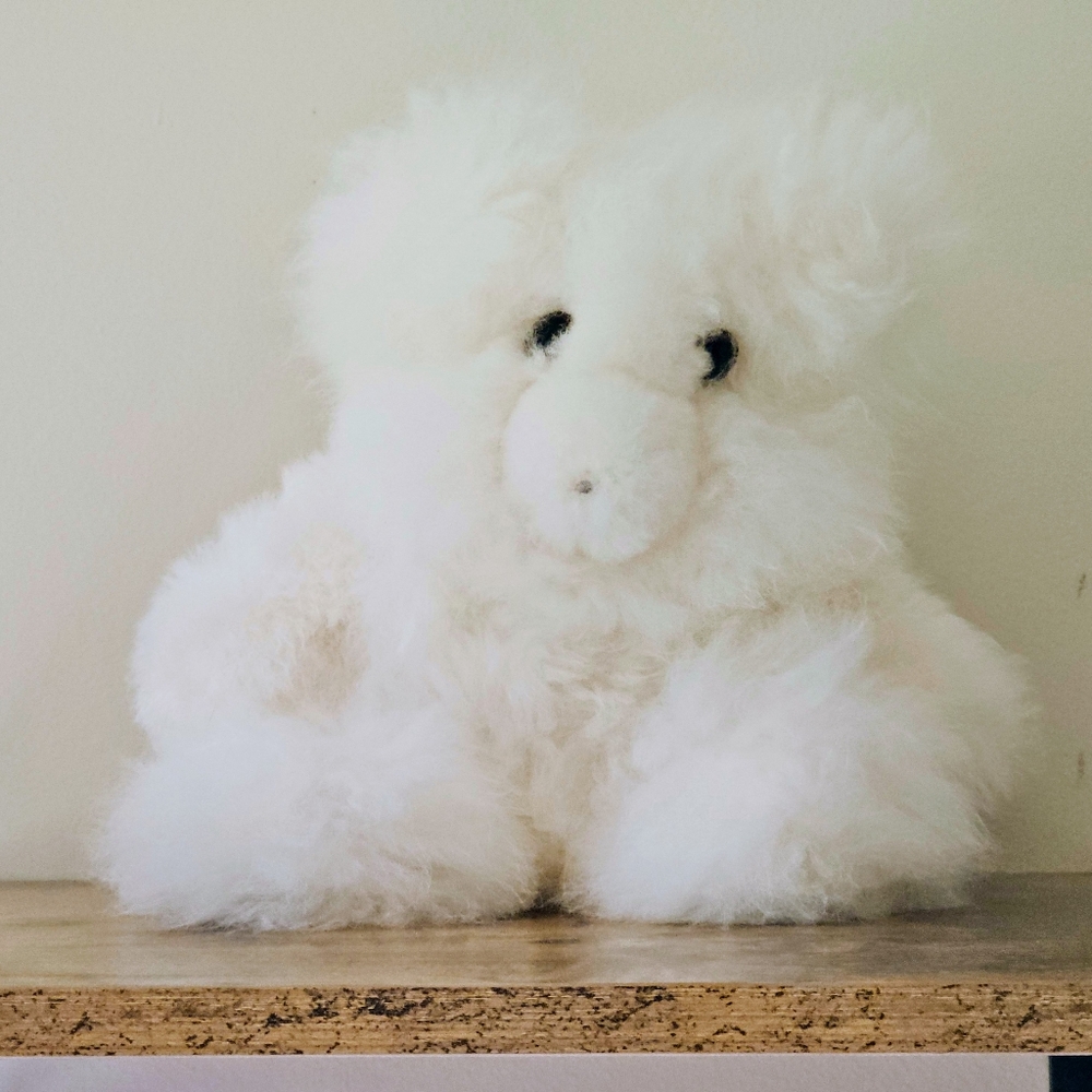 CUTE! Super Soft Plush 100% Baby Alpaca Fur Teddy Bear Handmade 14" Cream White